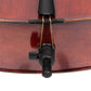 Titanium Alloy Tailgut with Wire Adjuster