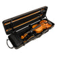 Polycarbonate Oblong Violin Travel Gig Case, NP-7006